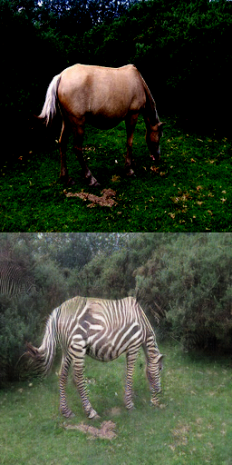 zebra_1200%20%281%29.png